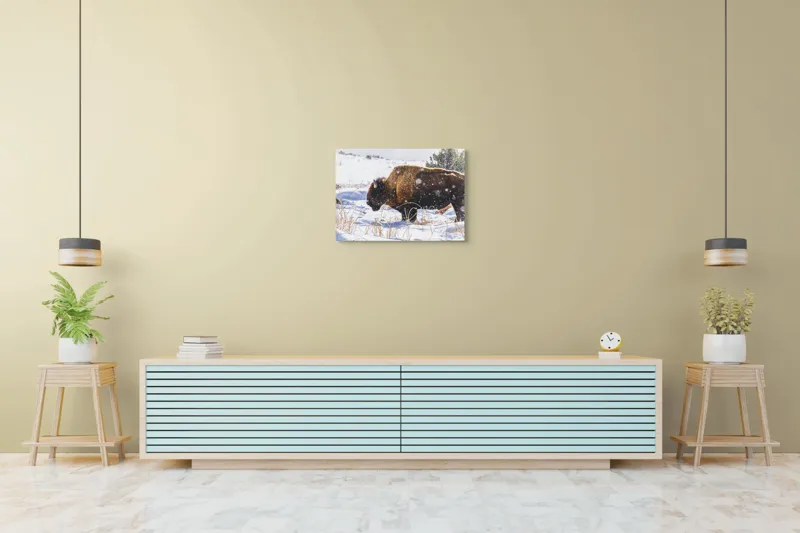 Tablou Canvas, "Bizon în peisaj de iarnă albă", Zăpadă, Bizon, Iarbă, Iarnă, Peisaj, Natura, Frig, Albul, Animal, Serenitate, 70 x 50 cm – poza 7