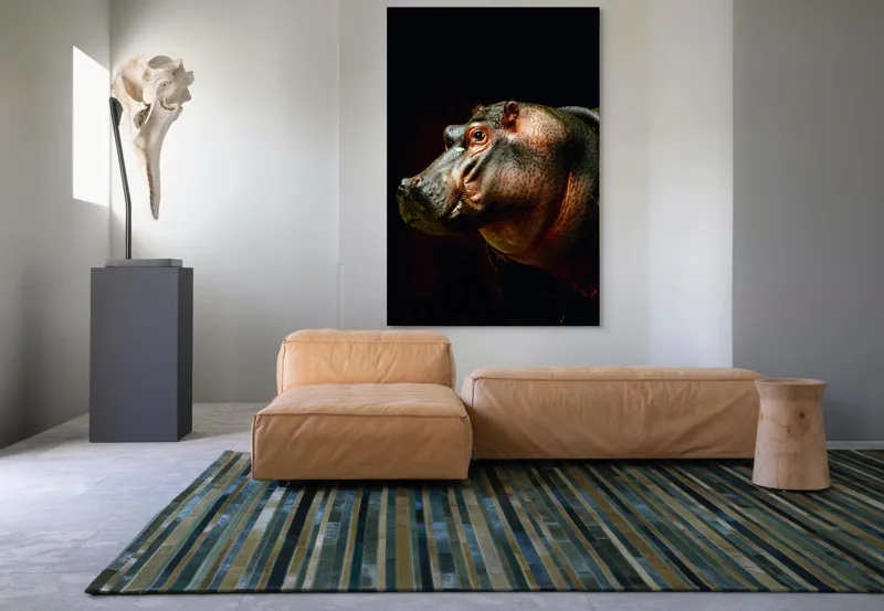 Tablou Canvas, "Hipopotamul în lumina crepusculară africana", 100 x 150 cm – poza 7