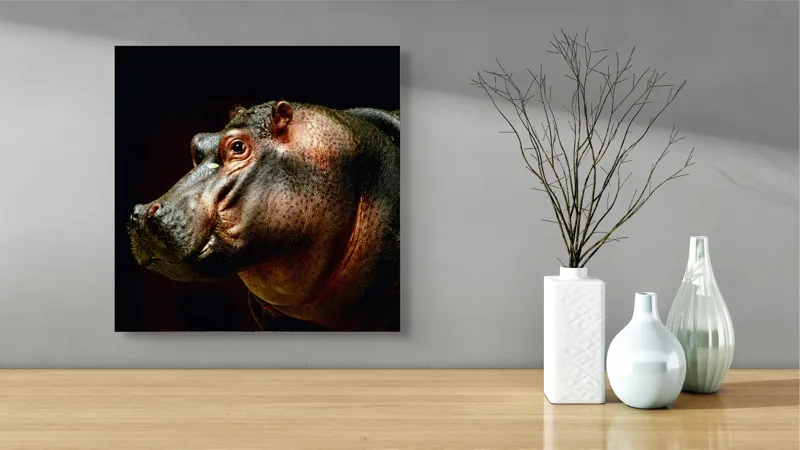Tablou Canvas, "Hipopotamul în lumina crepusculară africana", 50 x 50 cm – poza 3