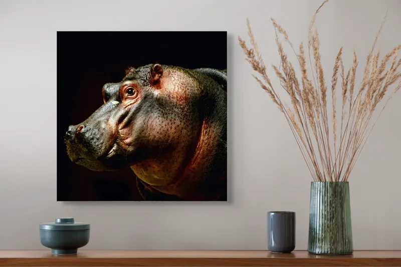 Tablou Canvas, "Hipopotamul în lumina crepusculară africana", 50 x 50 cm – poza 4