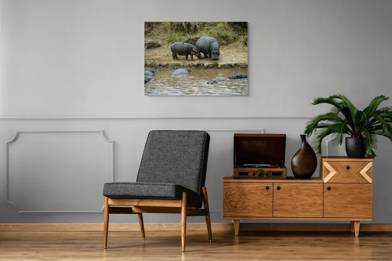 Tablou Canvas, "Hipopotami odihnindu-se lângă apă", 100 x 70 cm – poza 8