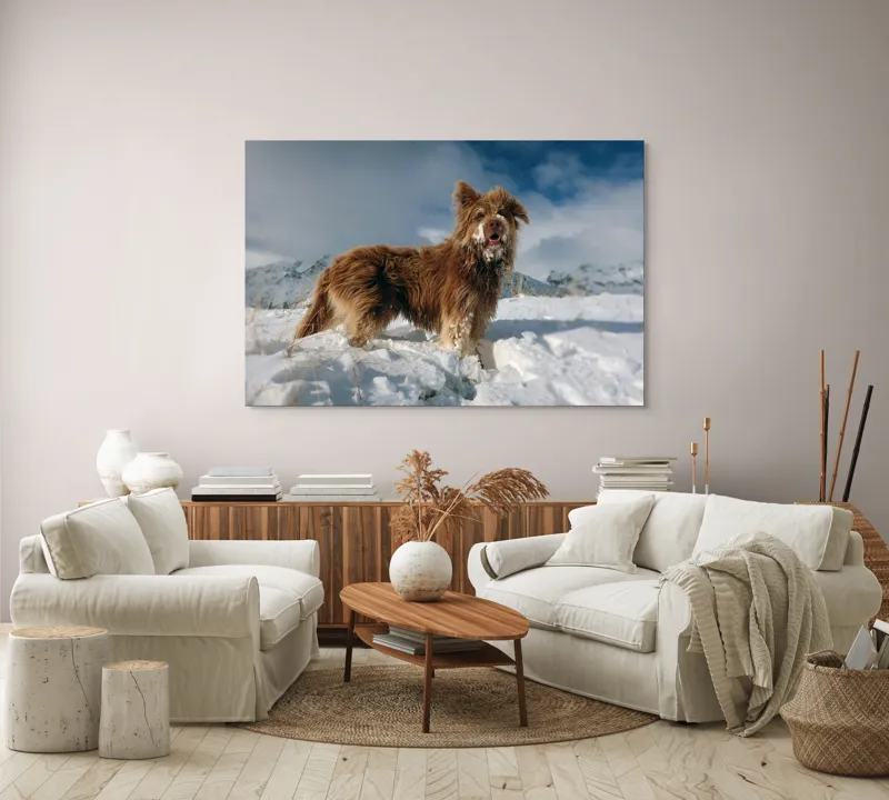 Tablou Canvas, "Câine bucuros în zăpada de munte", Caine, Blana, Zapada, Aventura, Cer, Albastru, Nor, Peisaj, Natura, Fericire, 150 x 100 cm – poza 3