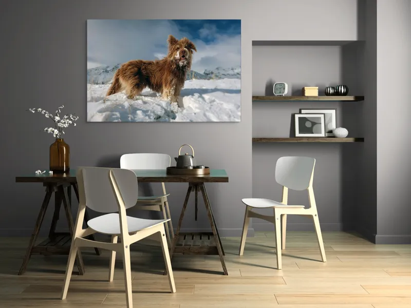 Tablou Canvas, "Câine bucuros în zăpada de munte", Caine, Blana, Zapada, Aventura, Cer, Albastru, Nor, Peisaj, Natura, Fericire, 150 x 100 cm – poza 5