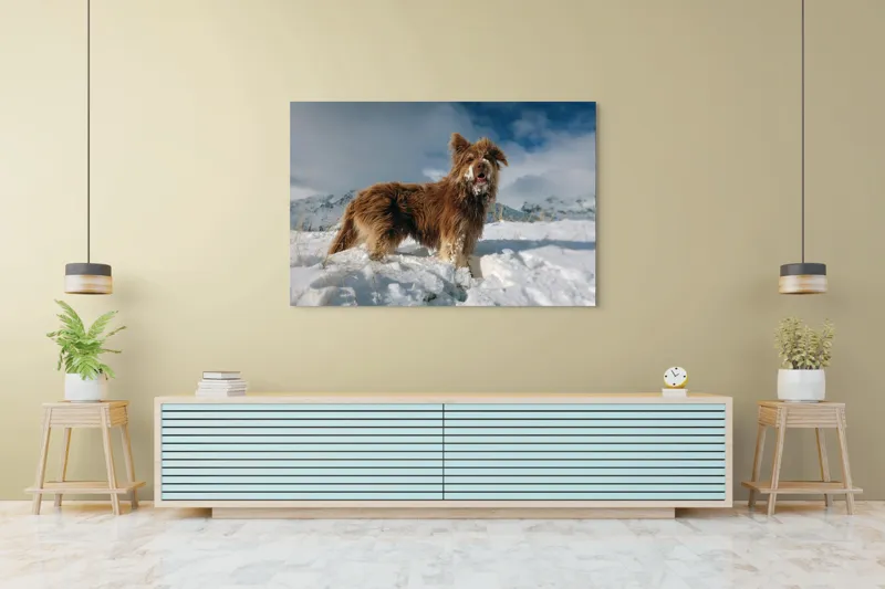 Tablou Canvas, "Câine bucuros în zăpada de munte", Caine, Blana, Zapada, Aventura, Cer, Albastru, Nor, Peisaj, Natura, Fericire, 150 x 100 cm – poza 6
