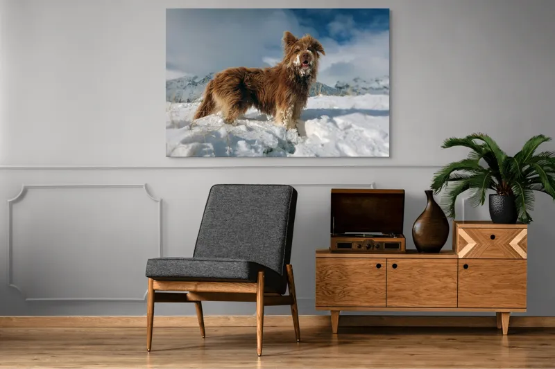 Tablou Canvas, "Câine bucuros în zăpada de munte", Caine, Blana, Zapada, Aventura, Cer, Albastru, Nor, Peisaj, Natura, Fericire, 150 x 100 cm – poza 8