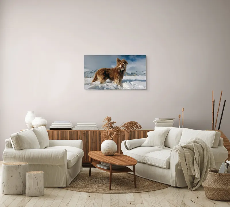 Tablou Canvas, "Câine bucuros în zăpada de munte", Caine, Blana, Zapada, Aventura, Cer, Albastru, Nor, Peisaj, Natura, Fericire, 90 x 50 cm – poza 4