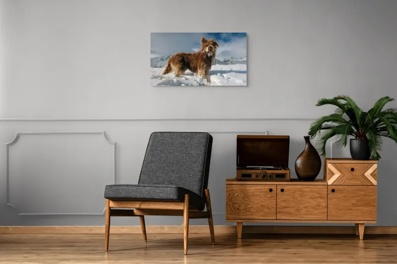 Tablou Canvas, "Câine bucuros în zăpada de munte", Caine, Blana, Zapada, Aventura, Cer, Albastru, Nor, Peisaj, Natura, Fericire, 90 x 50 cm – poza 6