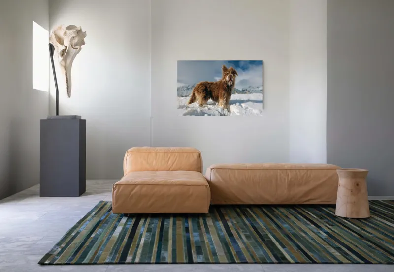 Tablou Canvas, "Câine bucuros în zăpada de munte", Caine, Blana, Zapada, Aventura, Cer, Albastru, Nor, Peisaj, Natura, Fericire, 90 x 50 cm – poza 8