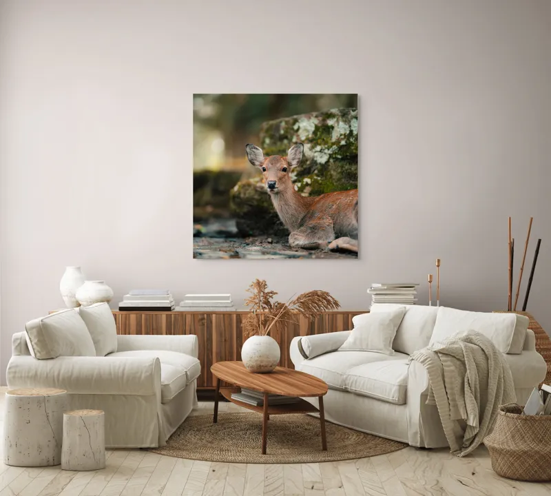 Tablou Canvas, "Căprioara odihnindu-se în pădurea liniștită", Serenitate, Natură, Liniște, Frumusețe, Eleganță, Blândețe, Pădure, Calm, Vedere, Relaxare, 100 x 100 cm – poza 3