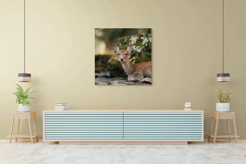 Tablou Canvas, "Căprioara odihnindu-se în pădurea liniștită", Serenitate, Natură, Liniște, Frumusețe, Eleganță, Blândețe, Pădure, Calm, Vedere, Relaxare, 100 x 100 cm – poza 5