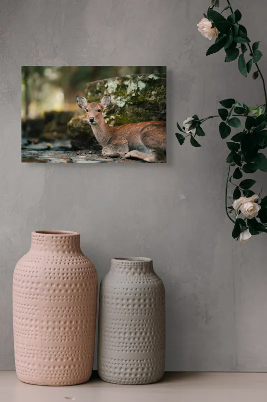 Tablou Canvas, "Căprioara odihnindu-se în pădurea liniștită", Serenitate, Natură, Liniște, Frumusețe, Eleganță, Blândețe, Pădure, Calm, Vedere, Relaxare, 39 x 26 cm – poza 4