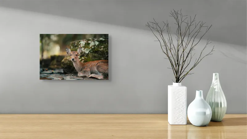 Tablou Canvas, "Căprioara odihnindu-se în pădurea liniștită", Serenitate, Natură, Liniște, Frumusețe, Eleganță, Blândețe, Pădure, Calm, Vedere, Relaxare, 39 x 26 cm – poza 8