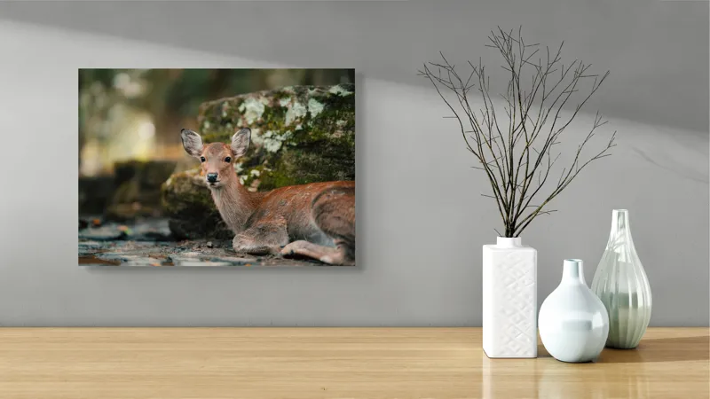 Tablou Canvas, "Căprioara odihnindu-se în pădurea liniștită", Serenitate, Natură, Liniște, Frumusețe, Eleganță, Blândețe, Pădure, Calm, Vedere, Relaxare, 54 x 39 cm – poza 3