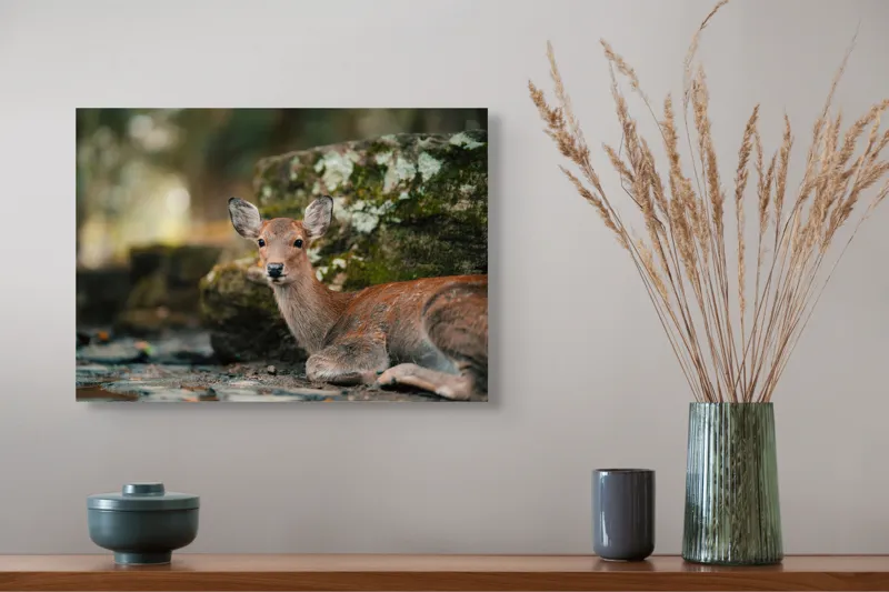 Tablou Canvas, "Căprioara odihnindu-se în pădurea liniștită", Serenitate, Natură, Liniște, Frumusețe, Eleganță, Blândețe, Pădure, Calm, Vedere, Relaxare, 54 x 39 cm – poza 4