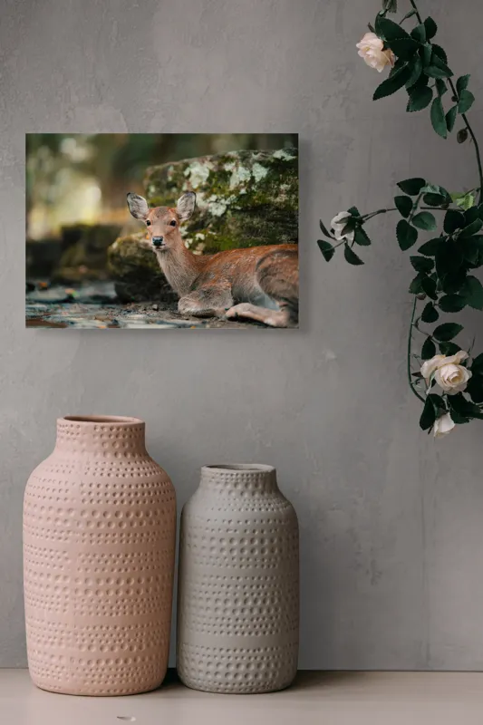 Tablou Canvas, "Căprioara odihnindu-se în pădurea liniștită", Serenitate, Natură, Liniște, Frumusețe, Eleganță, Blândețe, Pădure, Calm, Vedere, Relaxare, 54 x 39 cm – poza 8