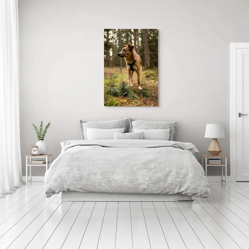 Tablou Canvas, "Câine curajos în pădurea de conifere", Câine, Pădure, Brazi, Aventură, Frunze, Natură, Liniște, Blană, Căutare, Explorare, 70 x 100 cm – poza 3