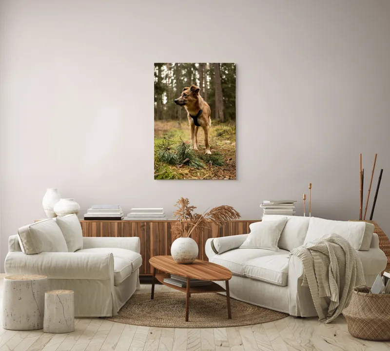 Tablou Canvas, "Câine curajos în pădurea de conifere", Câine, Pădure, Brazi, Aventură, Frunze, Natură, Liniște, Blană, Căutare, Explorare, 70 x 100 cm – poza 4