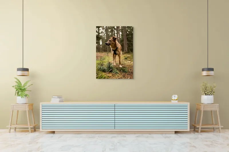 Tablou Canvas, "Câine curajos în pădurea de conifere", Câine, Pădure, Brazi, Aventură, Frunze, Natură, Liniște, Blană, Căutare, Explorare, 70 x 100 cm – poza 5
