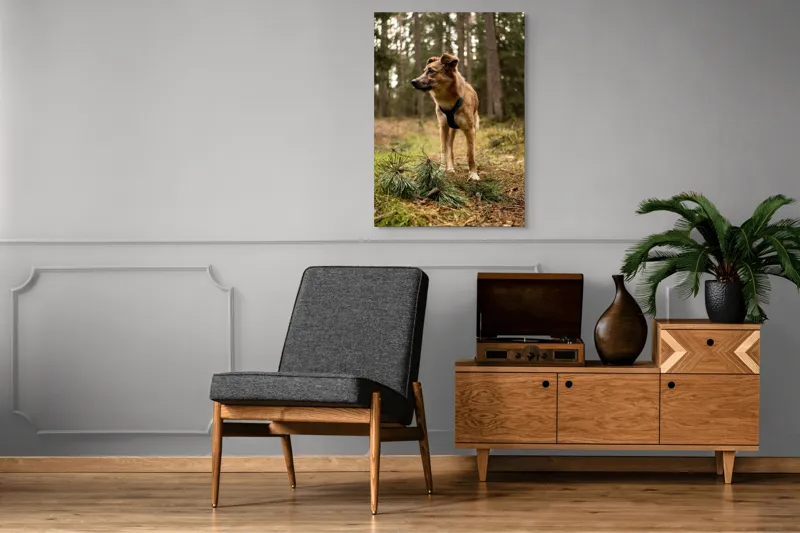 Tablou Canvas, "Câine curajos în pădurea de conifere", Câine, Pădure, Brazi, Aventură, Frunze, Natură, Liniște, Blană, Căutare, Explorare, 70 x 100 cm – poza 6