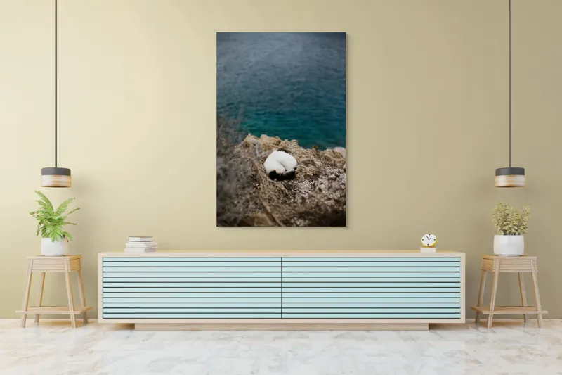 Tablou Canvas, "Pisică dormind pe stâncile mării.", Pisică, Stâncă, Mare, Albastru, Odihnă, Natură, Tranquilitate, 100 x 150 cm – poza 4