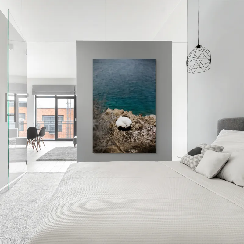 Tablou Canvas, "Pisică dormind pe stâncile mării.", Pisică, Stâncă, Mare, Albastru, Odihnă, Natură, Tranquilitate, 100 x 150 cm – poza 5
