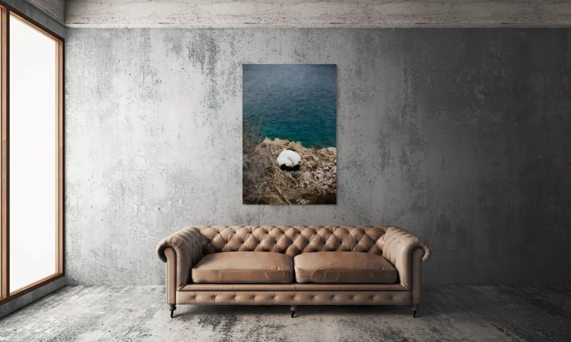 Tablou Canvas, "Pisică dormind pe stâncile mării.", Pisică, Stâncă, Mare, Albastru, Odihnă, Natură, Tranquilitate, 100 x 150 cm – poza 6