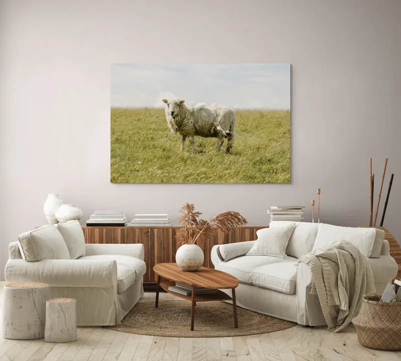 Tablou Canvas, "Oița singuratică pe câmpie verde", Oaie, Câmpie, Iarbă, Cer, Nori, Lână, Tranquilitate, Natură, 150 x 100 cm – poza 3