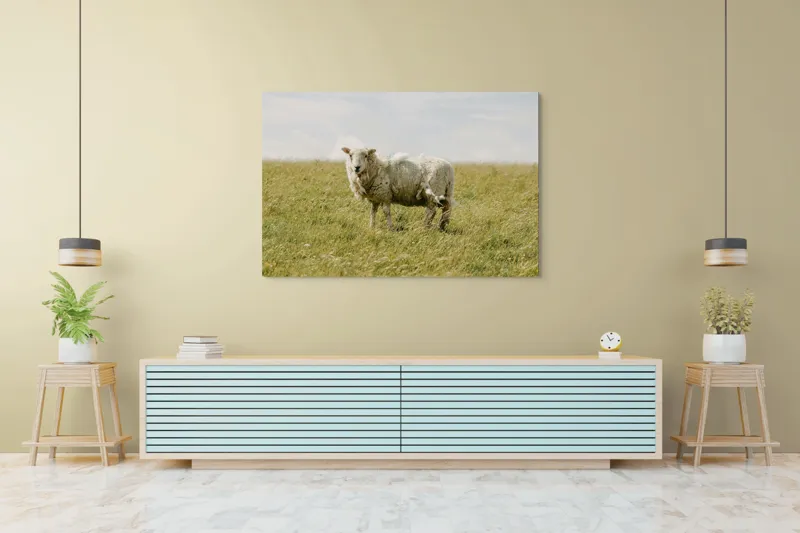 Tablou Canvas, "Oița singuratică pe câmpie verde", Oaie, Câmpie, Iarbă, Cer, Nori, Lână, Tranquilitate, Natură, 150 x 100 cm – poza 6