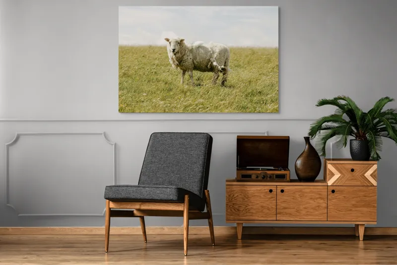 Tablou Canvas, "Oița singuratică pe câmpie verde", Oaie, Câmpie, Iarbă, Cer, Nori, Lână, Tranquilitate, Natură, 150 x 100 cm – poza 8