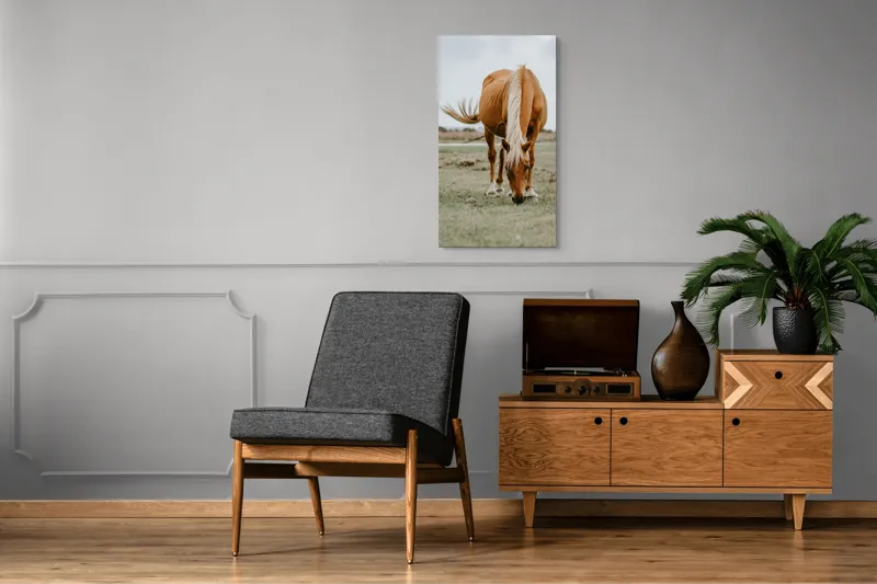 Tablou Canvas, "Calul pășunând sub cerul înnorat", Cal, Pășune, Coamă, Culoare, Natură., 50 x 90 cm – poza 8