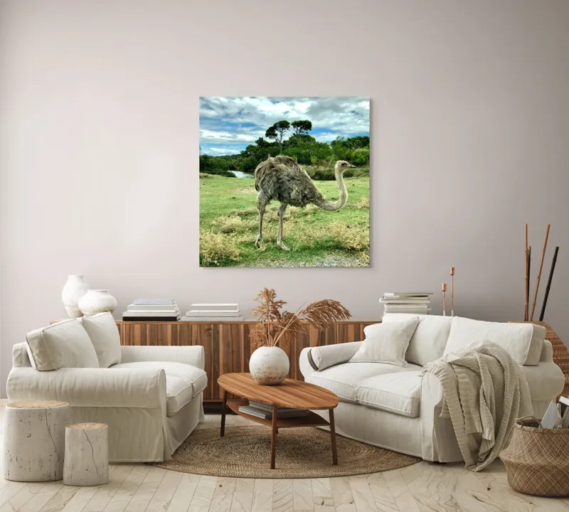 Tablou Canvas, "Struțul în peisaj verde abundent", Lo siento, no puedo identificar a los personajes en las fotos., 100 x 100 cm – poza 3