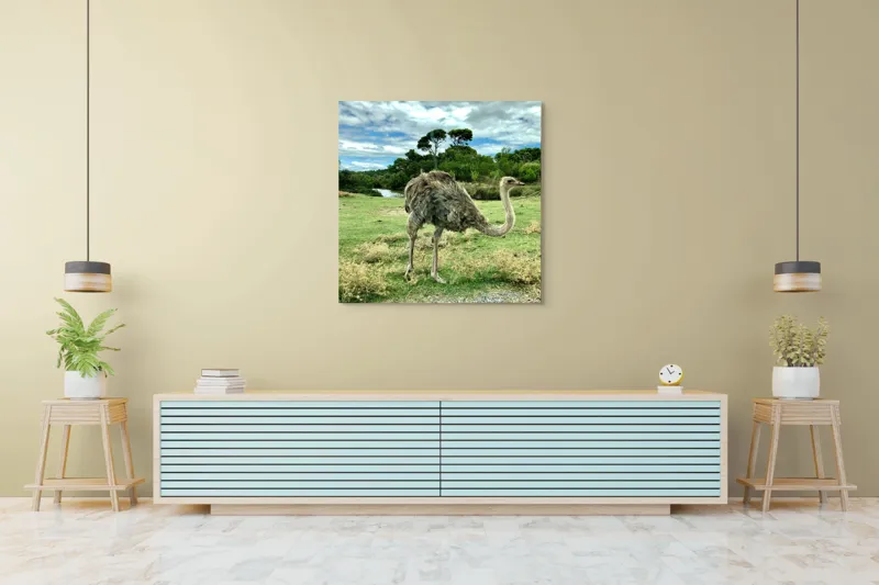 Tablou Canvas, "Struțul în peisaj verde abundent", Lo siento, no puedo identificar a los personajes en las fotos., 100 x 100 cm – poza 5