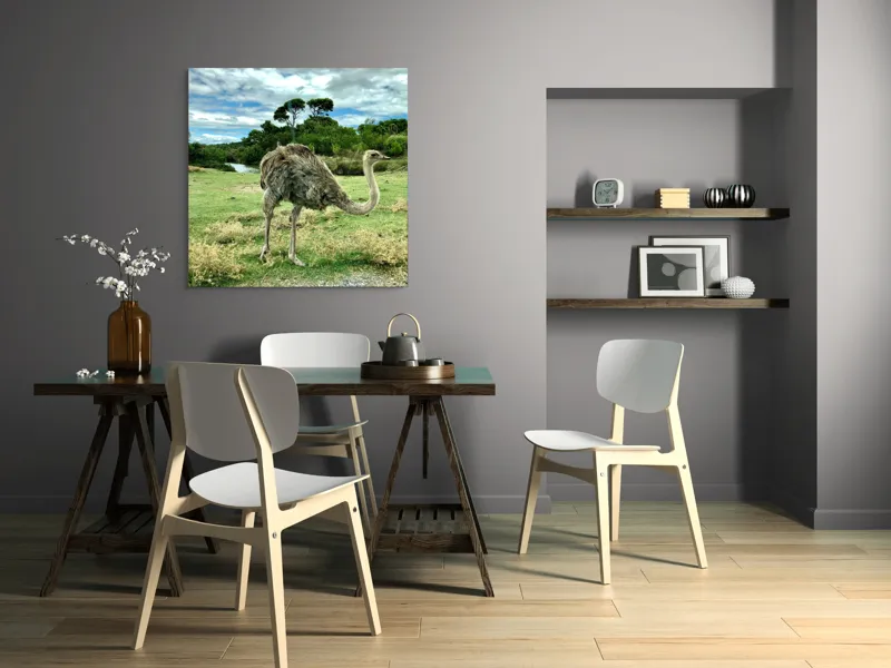 Tablou Canvas, "Struțul în peisaj verde abundent", Lo siento, no puedo identificar a los personajes en las fotos., 100 x 100 cm – poza 6