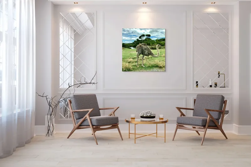 Tablou Canvas, "Struțul în peisaj verde abundent", Lo siento, no puedo identificar a los personajes en las fotos., 100 x 100 cm – poza 7