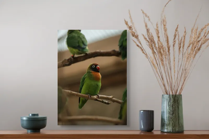 Tablou Canvas, "Papagal singuratic pe creangă dreaptă", Verde, Pene, Pasăre, Ramură, Colivie, Colorat, Privire, Curiozitate, Natură, Grijă, 39 x 54 cm – poza 3