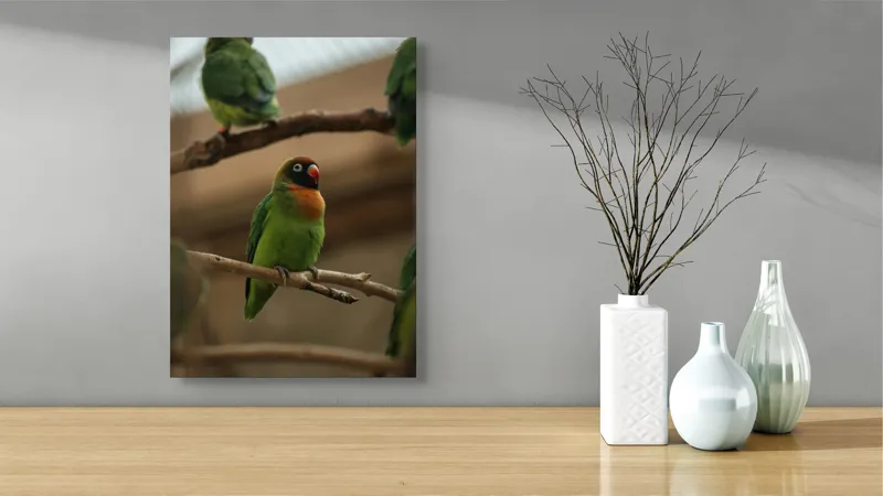 Tablou Canvas, "Papagal singuratic pe creangă dreaptă", Verde, Pene, Pasăre, Ramură, Colivie, Colorat, Privire, Curiozitate, Natură, Grijă, 39 x 54 cm – poza 4