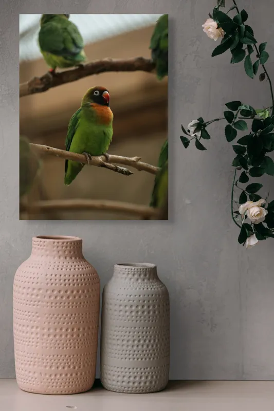 Tablou Canvas, "Papagal singuratic pe creangă dreaptă", Verde, Pene, Pasăre, Ramură, Colivie, Colorat, Privire, Curiozitate, Natură, Grijă, 39 x 54 cm – poza 6