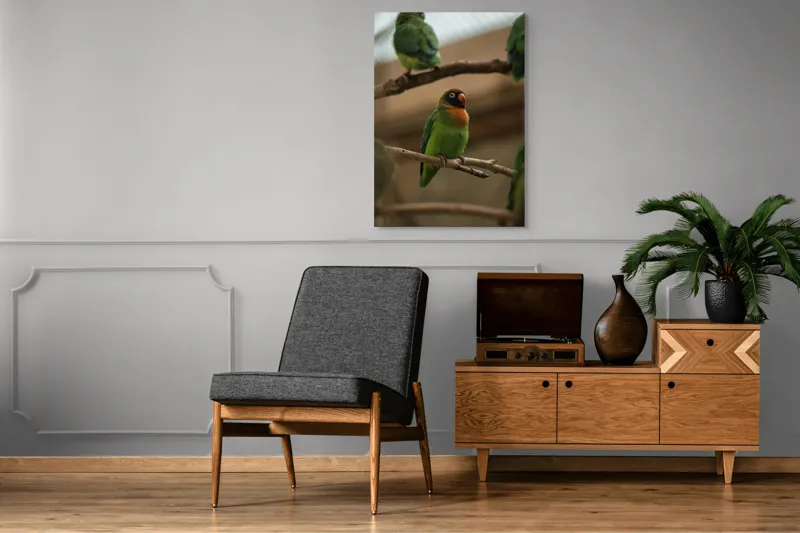 Tablou Canvas, "Papagal singuratic pe creangă dreaptă", Verde, Pene, Pasăre, Ramură, Colivie, Colorat, Privire, Curiozitate, Natură, Grijă, 70 x 100 cm – poza 6