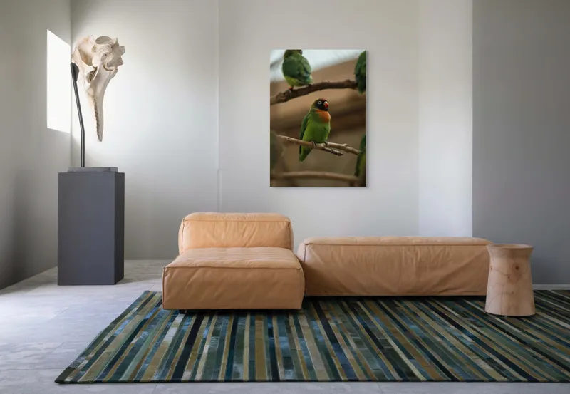 Tablou Canvas, "Papagal singuratic pe creangă dreaptă", Verde, Pene, Pasăre, Ramură, Colivie, Colorat, Privire, Curiozitate, Natură, Grijă, 70 x 100 cm – poza 7