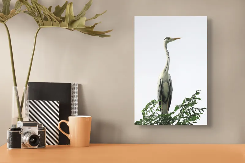 Tablou Canvas, "Stolnicul pădurilor de smarald alb
", Pasăre, Stuf, Cer, Pene, Cerulean, Elegantă, Natură, Răgaz, Vedere, Înălțime, 26 x 39 cm – poza 3