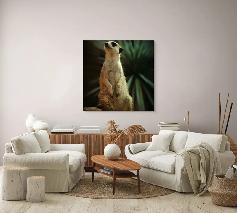 Tablou Canvas, "Suricata veghează cerul înstelat", Meerkat, Veghe, Curiozitate, Suprafață, Spațiu, Verdeață, Textură, Calm, Observare, Tandrețe, 100 x 100 cm – poza 3