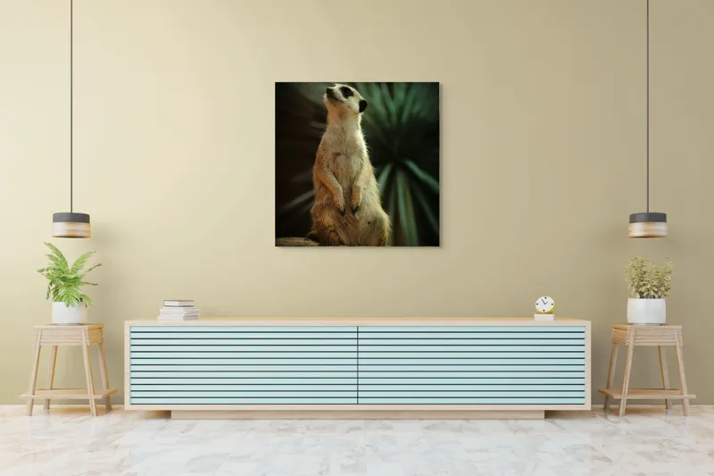 Tablou Canvas, "Suricata veghează cerul înstelat", Meerkat, Veghe, Curiozitate, Suprafață, Spațiu, Verdeață, Textură, Calm, Observare, Tandrețe, 100 x 100 cm – poza 5