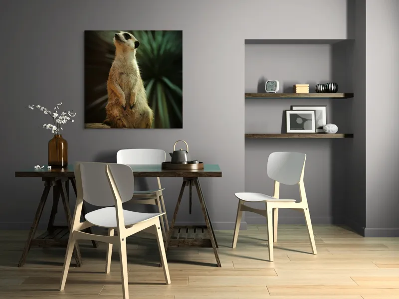 Tablou Canvas, "Suricata veghează cerul înstelat", Meerkat, Veghe, Curiozitate, Suprafață, Spațiu, Verdeață, Textură, Calm, Observare, Tandrețe, 100 x 100 cm – poza 6