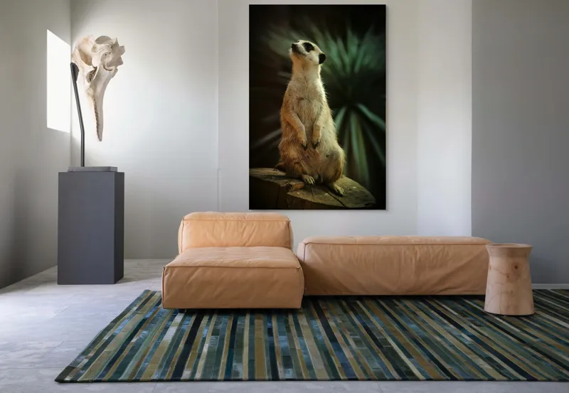 Tablou Canvas, "Suricata veghează cerul înstelat", Meerkat, Veghe, Curiozitate, Suprafață, Spațiu, Verdeață, Textură, Calm, Observare, Tandrețe, 100 x 150 cm – poza 7