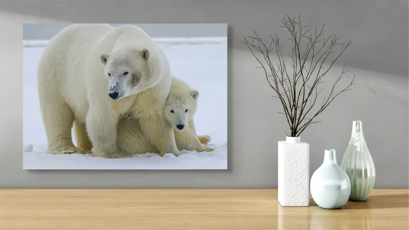 Tablou Canvas, "Urs polar cu puiul său drăgălaș", Urs, Ghețar, Alb, Blană, Pui, Îngrijire, Frig, Natură, Arctic, Iarnă, 70 x 50 cm – poza 3