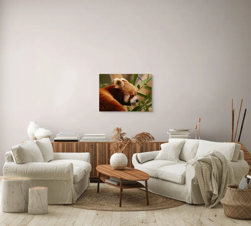 Tablou Canvas, "Panda roșu savurând bambus proaspăt", Iepure, Frunze, Blană, Privire, Natură, Bambus, Roz, Roșcat, Botic, Urechi, Mediu, 70 x 50 cm – poza 6