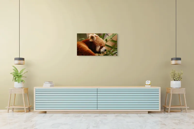Tablou Canvas, "Panda roșu savurând bambus proaspăt", Iepure, Frunze, Blană, Privire, Natură, Bambus, Roz, Roșcat, Botic, Urechi, Mediu, 90 x 50 cm – poza 5
