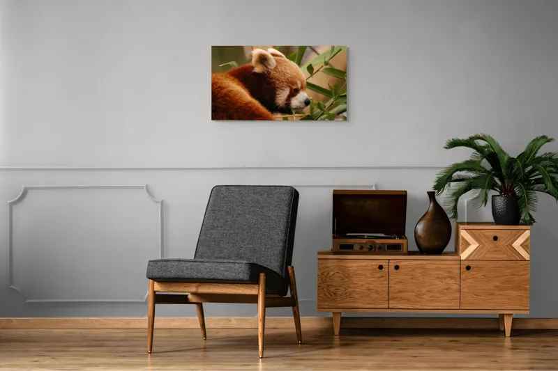 Tablou Canvas, "Panda roșu savurând bambus proaspăt", Iepure, Frunze, Blană, Privire, Natură, Bambus, Roz, Roșcat, Botic, Urechi, Mediu, 90 x 50 cm – poza 6
