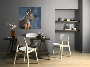 Tablou Canvas, "Capra neagră contemplând orizontul montan", 100 x 100 cm – poza 6