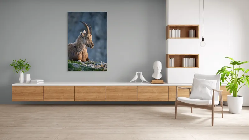 Tablou Canvas, "Capra neagră contemplând orizontul montan", 100 x 150 cm – poza 8